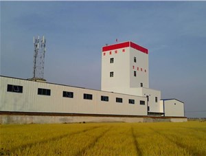饲料产量怎么迅速提高